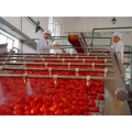 Ligne de production de sauce tomate